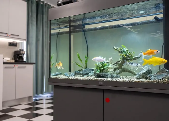 公寓 Aphrodites House Upon White Tower *