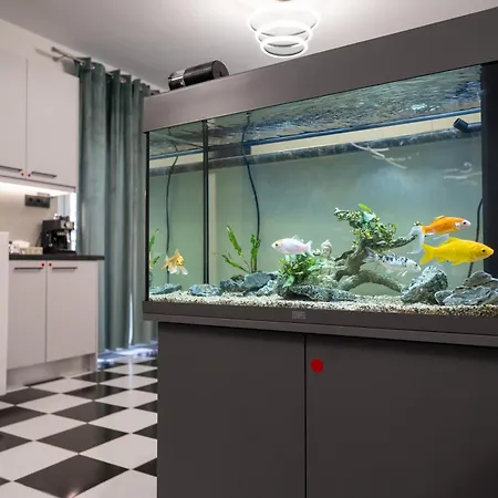 Apartament Aphrodites House Upon White Tower *